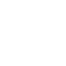 Level 2 Survey Report